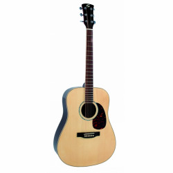Soundsation DN-500M Acoustic Guitar w/Bag