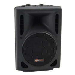 Soundsation SSP10-10P 120W 2 Way Passive Speaker with 10" Woofer