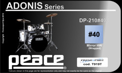 Peace DP-210 5 PCS ADONIS DRUMKIT HW BK REMO HEADS